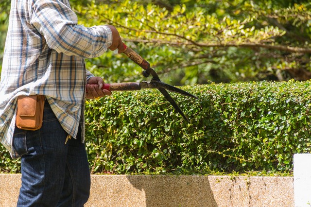 Garden Maintenance Warlingham, Chelsham, CR6