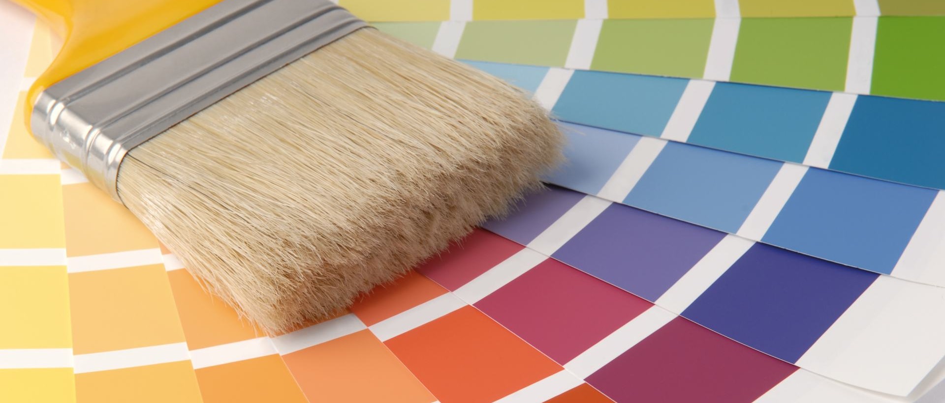 Painter CR6